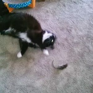 Meet your Posher, Audra